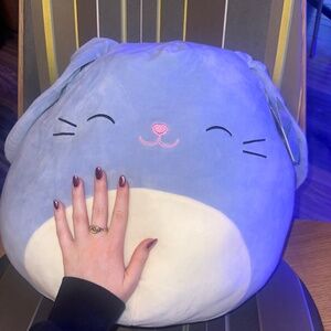 Sebastian Squishmallow